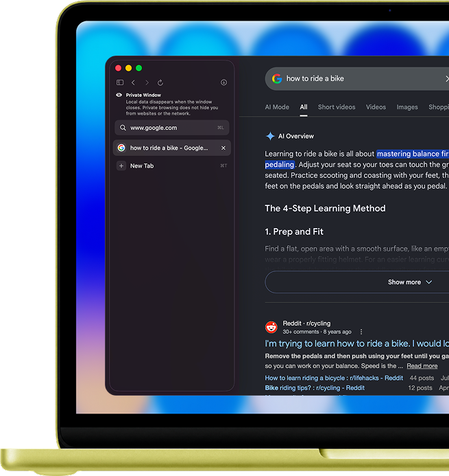A private Point window with browsing data kept locally
